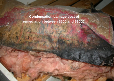 condensation mold remediation cost